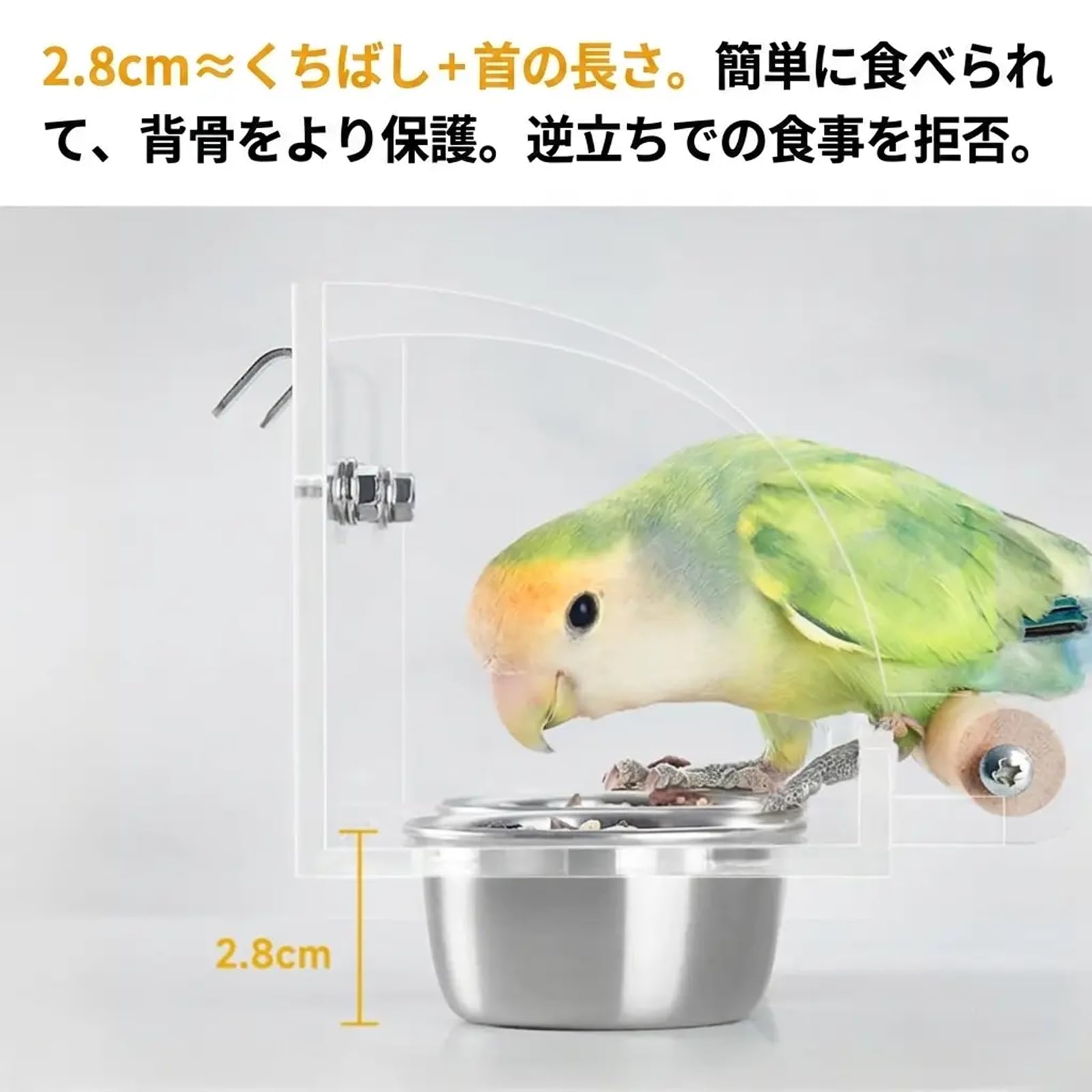 Amazon | [Tumanld]【インコ 餌入れ】【鳥 餌入れ】止まり木付き