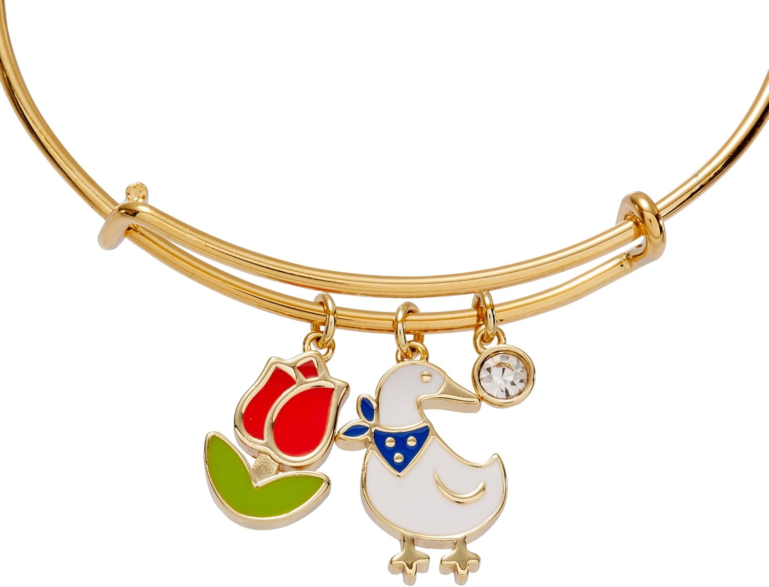 Alex and Ani Garden Party Bracelet