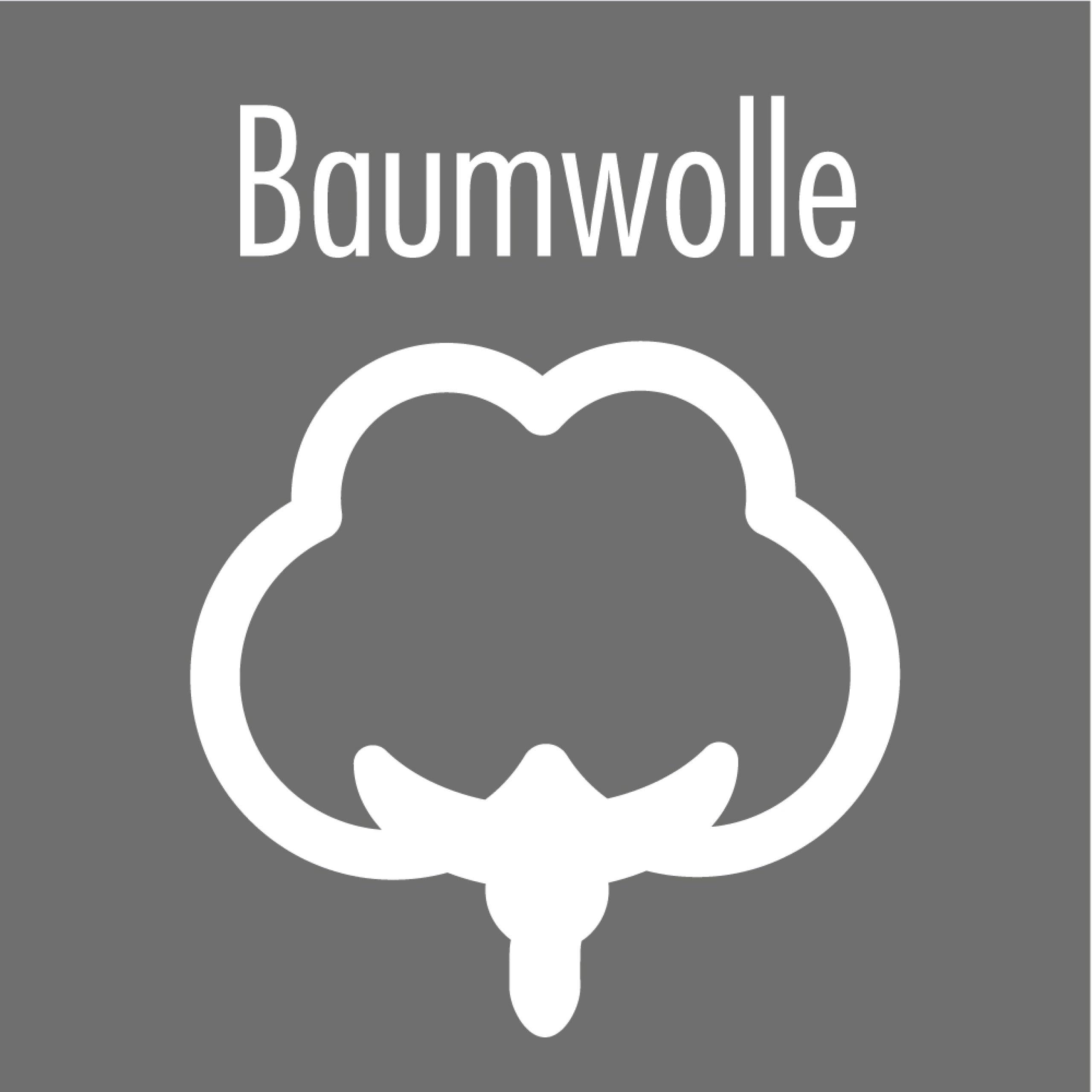 Badenia Trendline leichte Sommerdecke Clean Cotton 135x200 cm – Atmungsaktive & allergikerfreundliche Baumwoll-Bettdecke, Öko-Tex Standard 100, hergestellt nach deutschem Qualitätsstandard