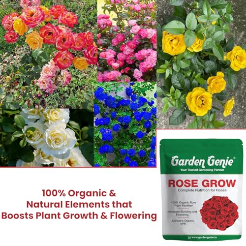Image of Garden Genie Rose Grow 400 Gm | Organic Plant Food Fertilizer for Rose Fertilizer for Plant | Essential Nutrients, Promotes Vibrant Blooms