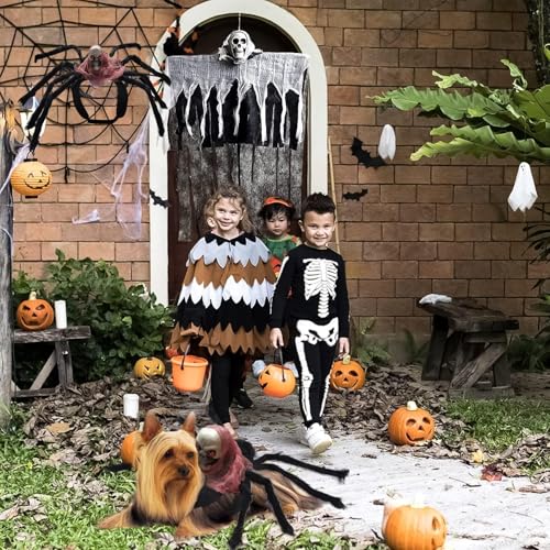 VireEyU Halloween-Spinnenkostüm Für Hunde Und Katzen, Realistisches Tierkostüm Mit Künstlichen Spinnenbeinen, Ideal Für Mittelgroße Und Kleine Hunde, Perfekt Für Halloween-Party Und Karneval（L）