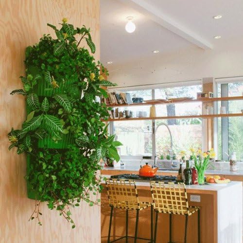 Living Wall Planter, Vertical Garden, Indoor/Outdoor by Woolly Pocket (works indoors and outdoors) (Color: Green) Living Wall Planter Vertical Garden (Modular, Sustainable, Recycleable) Hanging Wall Planter