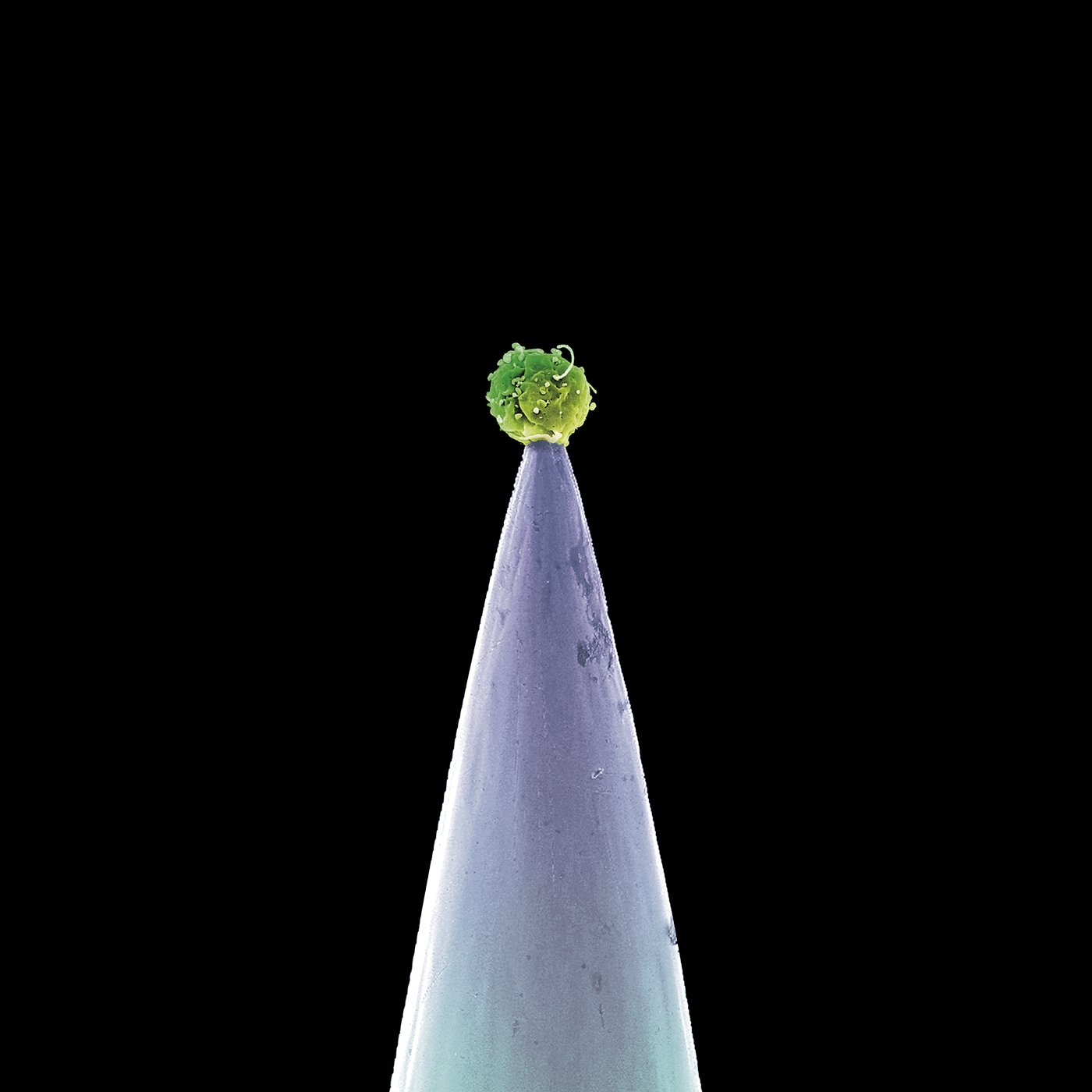 Peter Gabriel - New Blood (2011)