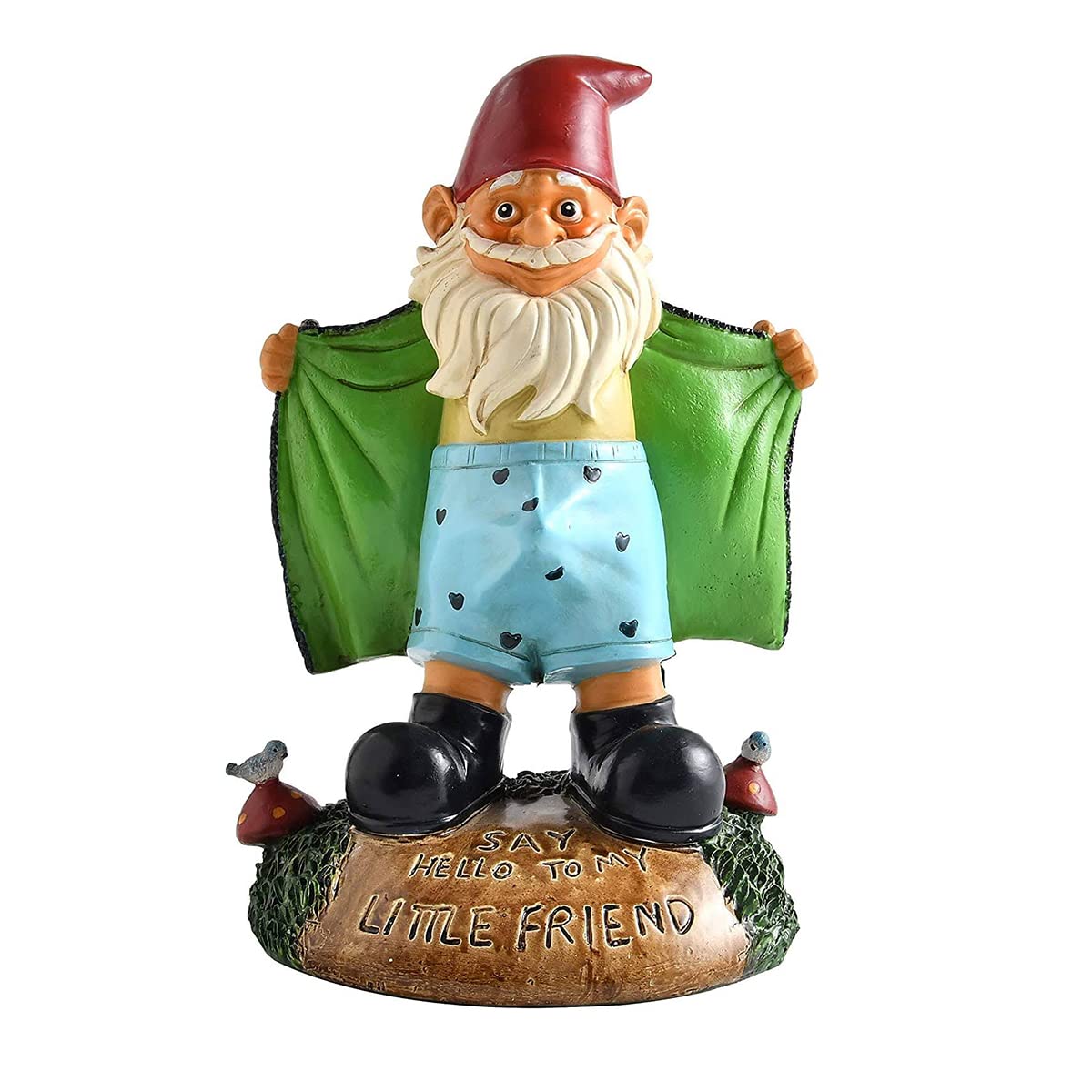 Funny Garden Gnomes Yard Decor - Resin Funny Gnome Figurine,Dwarf Shows Underpants, Garden Gnome Decor for Yard Art, Patio, Lawn, Doorsteps, Housewarming Gift