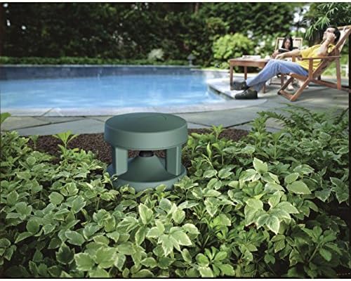 Amazon.com: Bose FreeSpace 360-P II In 