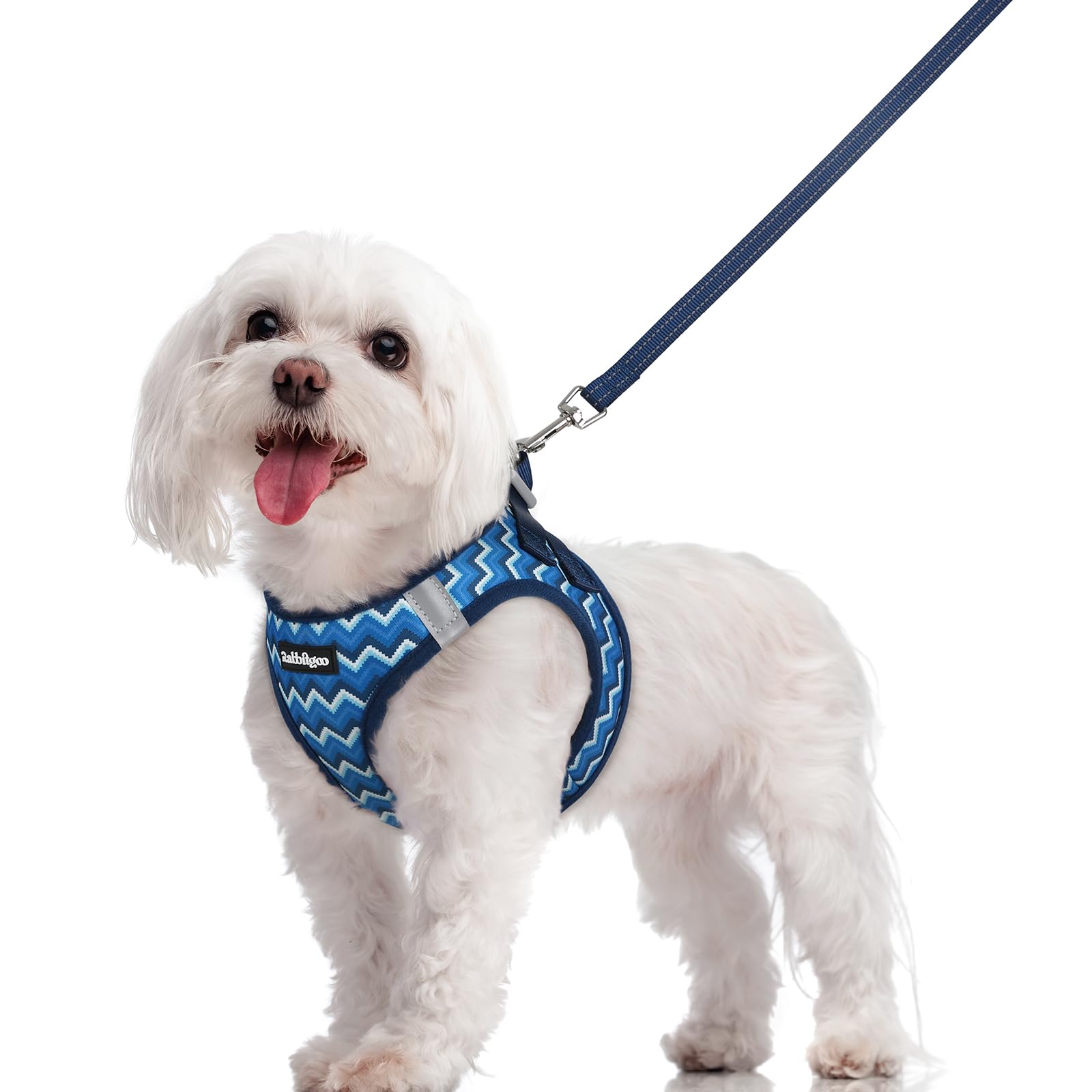rabbitgoo Dog Harness Small Dog and Leash Set, Step-in Soft Mesh Puppy Harness with Reflective Strips, Lightweight Breathable Pet Vest for Walking Training, Blue Zigzag, M