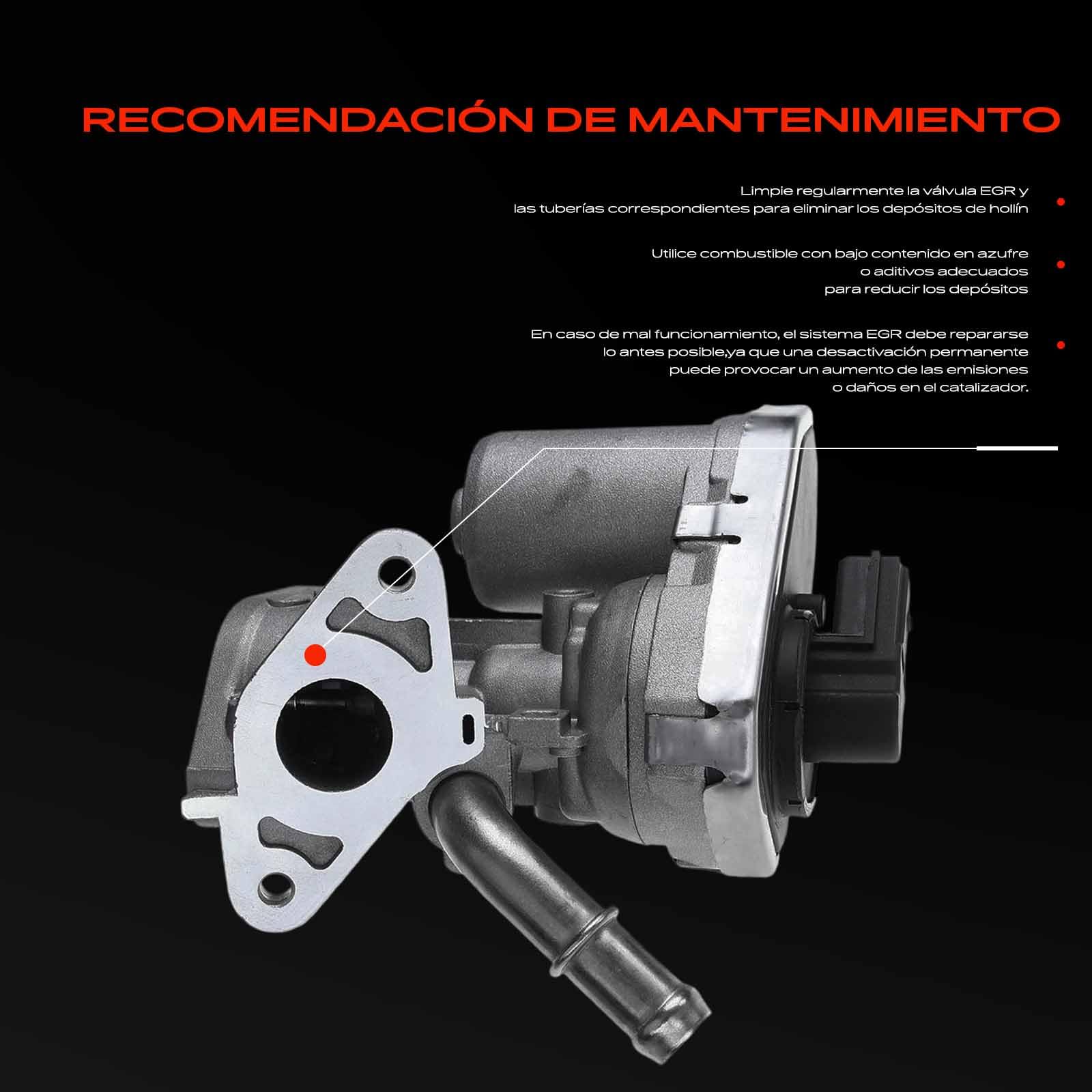 Frankberg Válvula EGR de 5 Polos 8C1Q9D475AA | Compatible con: Plataforma/chasis Transit FF FM FN, Tránsito Tourneo, Caja de tránsito FA