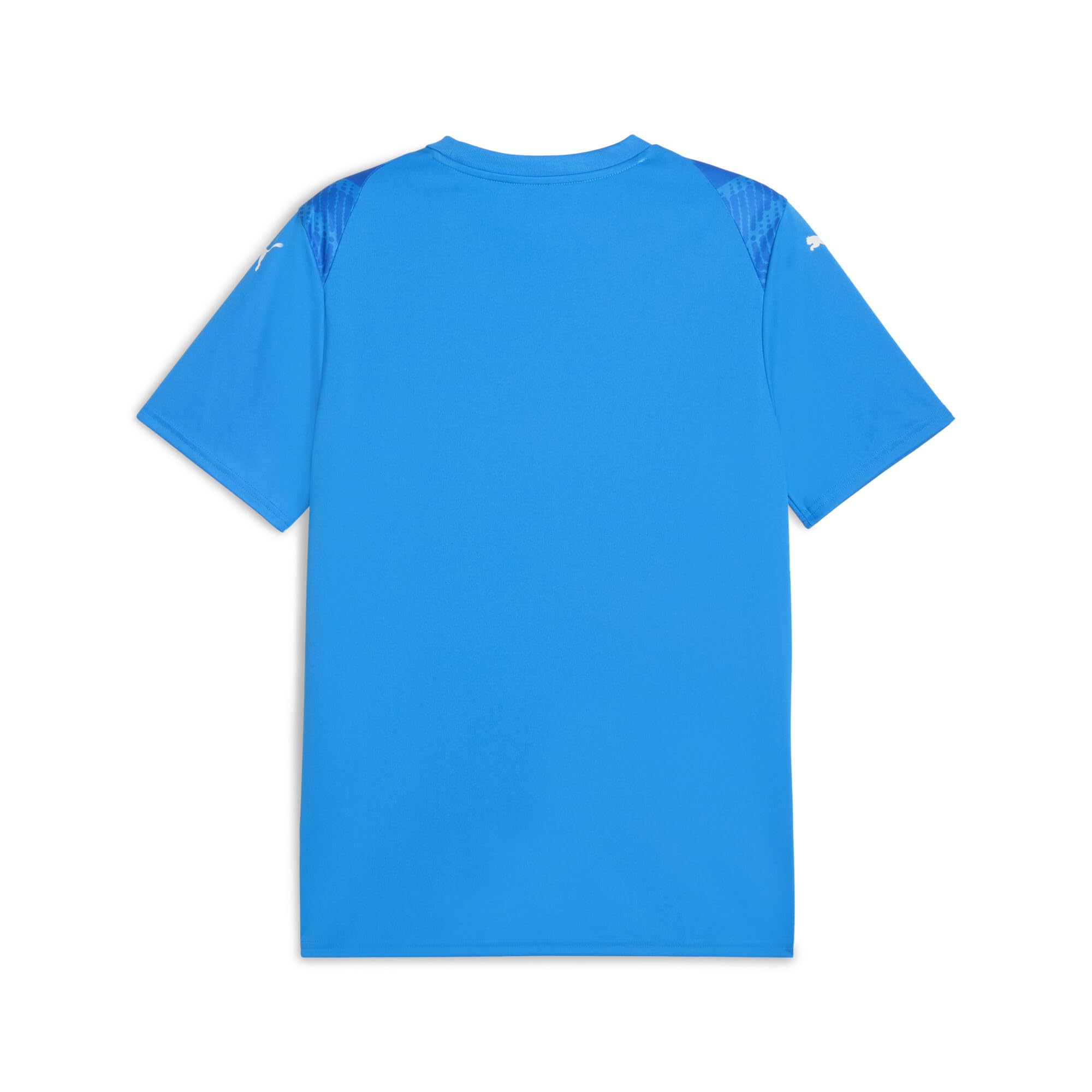 Puma Teamultimate Jersey Maillots Homme
