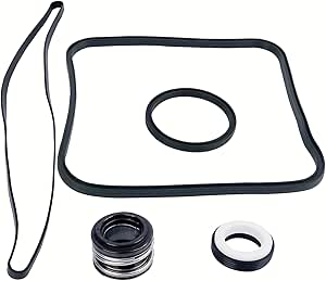 Essential O Ring And Gasket Replacement Kit For Hayward Pool