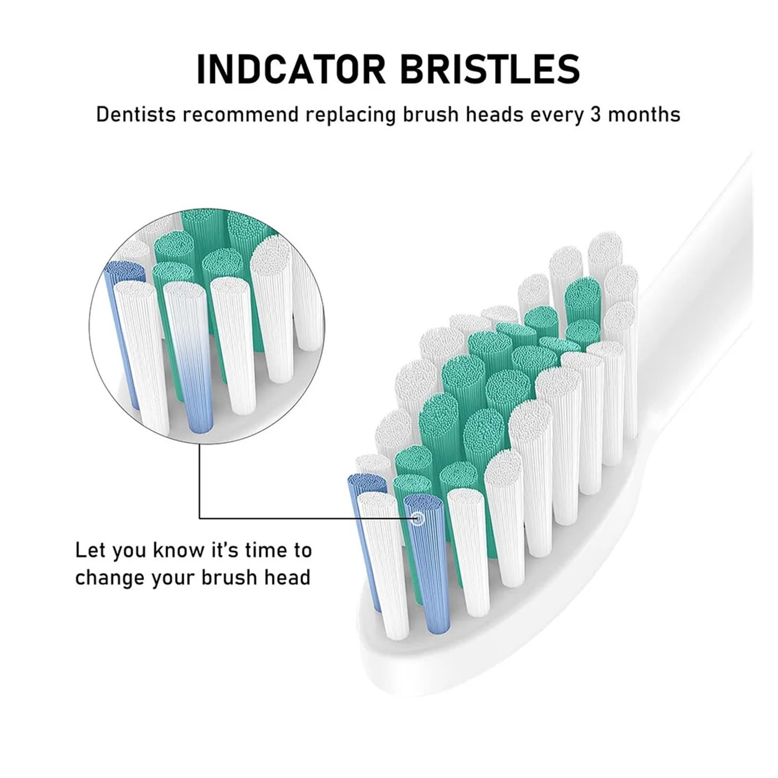 Testine Di Ricambio Compatibili Con Spazzolino Elettrico Philips Sonicare Con Coperchio, Setole Morbide Dupont(3color-2A-8pcs)