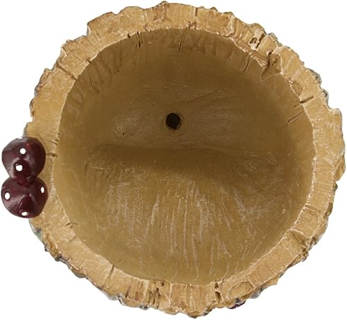 Vista 16 de Segreto Macetas creativas con agujeros de drenaje, jarrón de resina para decoración del hogar para suculentas, flores, cactus, decoración de Erizo