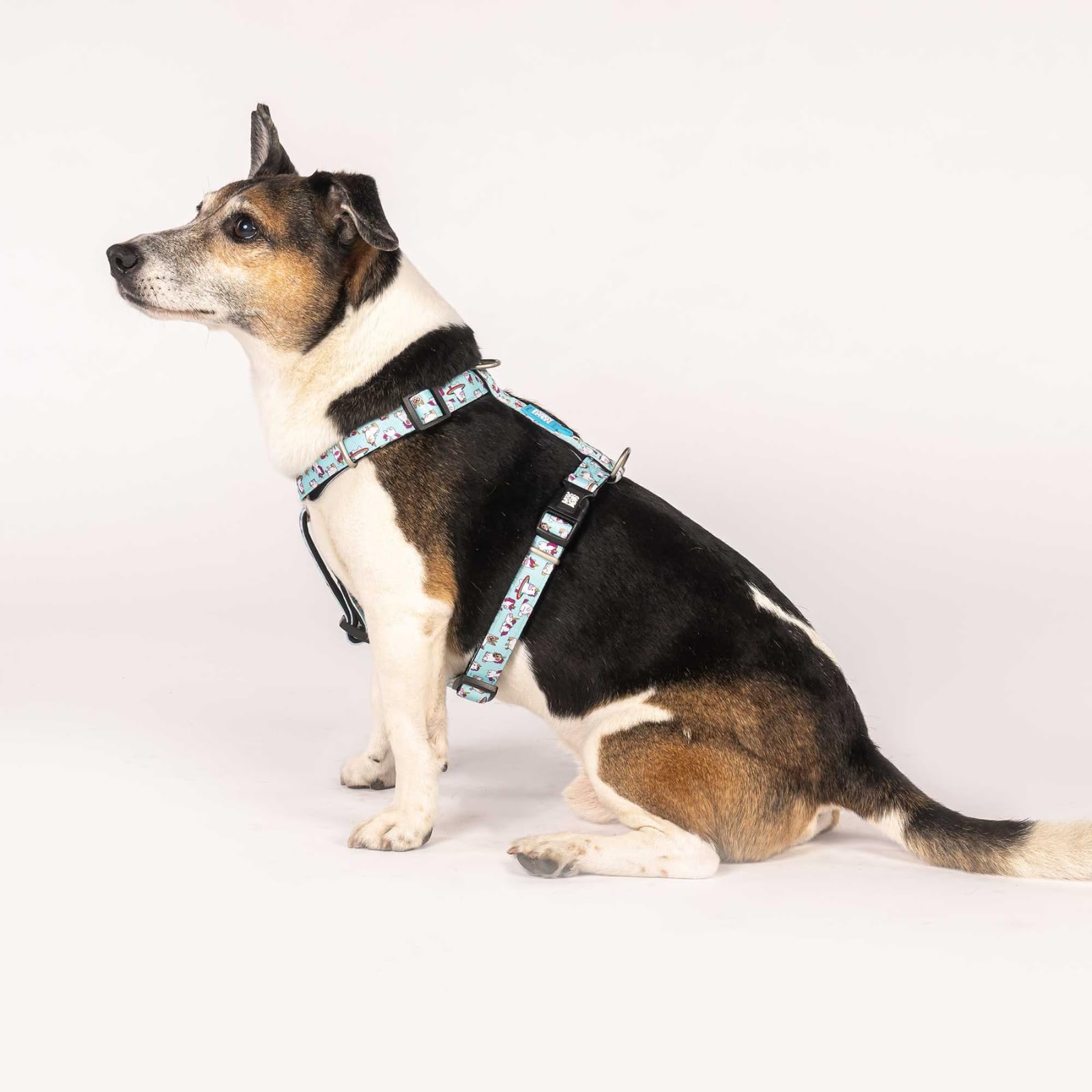 Max & Molly Hundegeschirr in H-Form, Ultrabequemes Geschirr Hund aus Neopren für kleine Hunde, Unicorn/S, Gepolstert, Sicher & Ultraleicht – Komfort für deinen treuen Begleiter