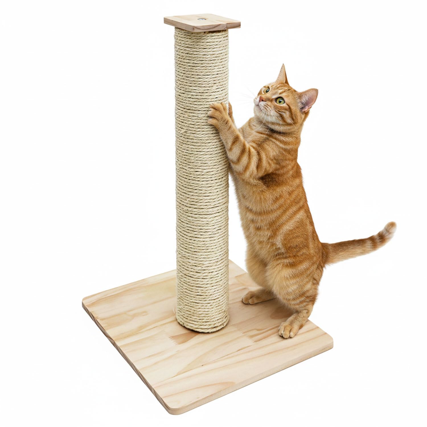 eyepower 62 cm Kratzbaum Luca - 9,2 cm Kratzsäule für Katzen mit Bambus Holzplatte - Katzenkratzbaum Klein mit M10 Sisalstamm Beige - Kratzstamm Katze Stabil Sisal Katzenbaum mit Massivholz Fußplatte