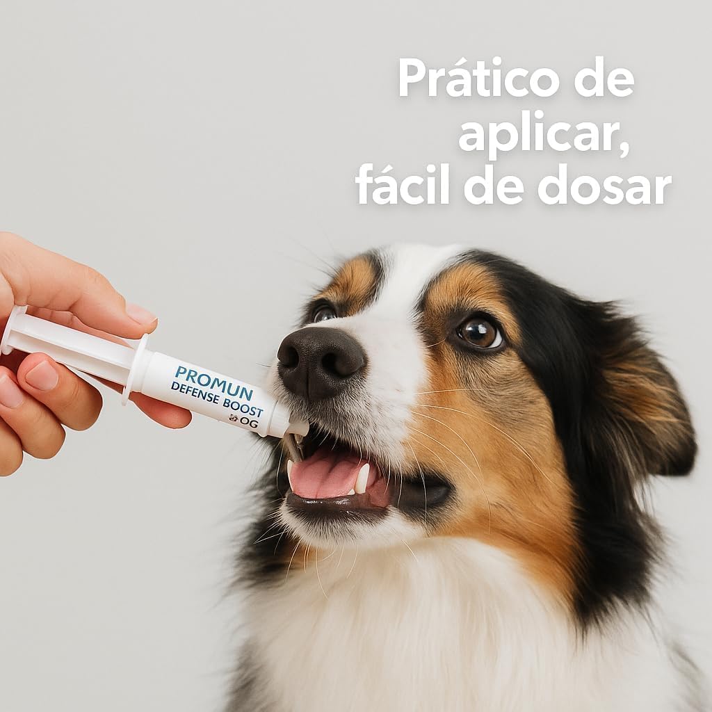 Kit 3 Suplementos Cães Prom Defesa Boost para Cães 3ml Probiótico Omega 3 Suporte Nutricional Casa Buritis Kit 3 Suplementos Cães Prom Defesa Boost para Cães 3ml Probiótico Omega 3 Suporte Nutricional Casa Buritis