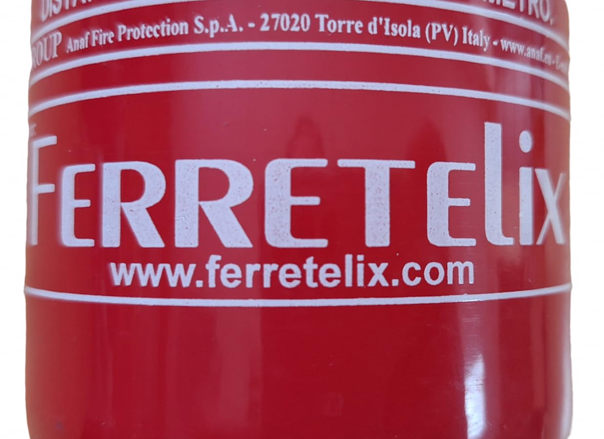 FERRETELIX® Lot de 2 Extincteurs 1 kg Poudre ABC – avec Supports de Fixation – Homologués pour Voiture, Maison, Bureau, Camping-Car ou Bateau. Fecha de fabricacion 2026