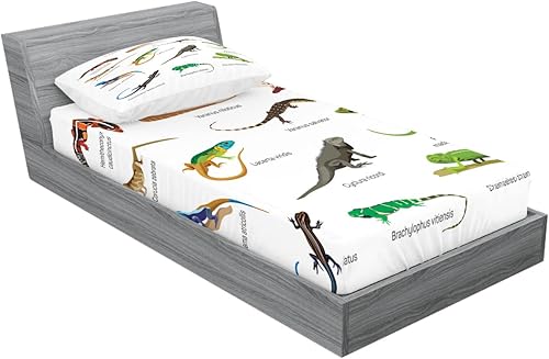 Miniatura 347 de Ambesonne Juego de sábanas bajeras y fundas de almohada con diseño de gato durmiendo en luna creciente, estrellas, sueños nocturnos, juego de ropa