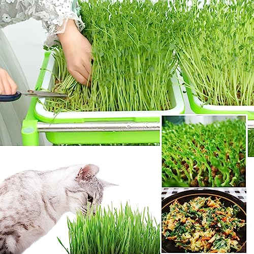 Foto von Chedin 4 Stück Seed Sprouter Tray Keimschale, Sprossen Sämlinge Weizen Grassierer Pflanzer, Hydroponics Dauerhaft Samen Keimung Tablett für Garten Home Office-grün