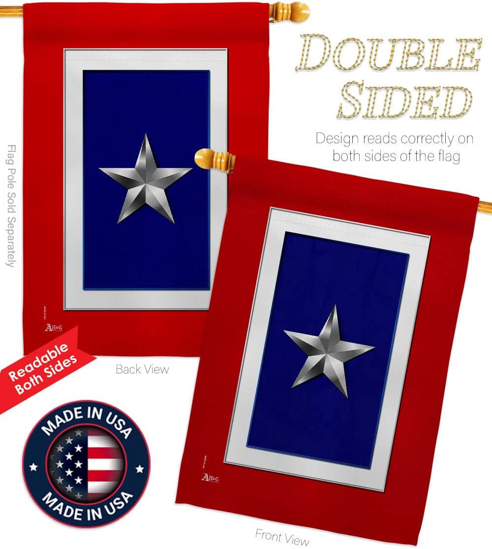 Silver Star House Flag - Eagle Set Armed Forces Military Service All Branches Support Honor United State American Veteran - Decoration Banner Small Garden Yard Gift Double-Sided Made in USA 28 X 40