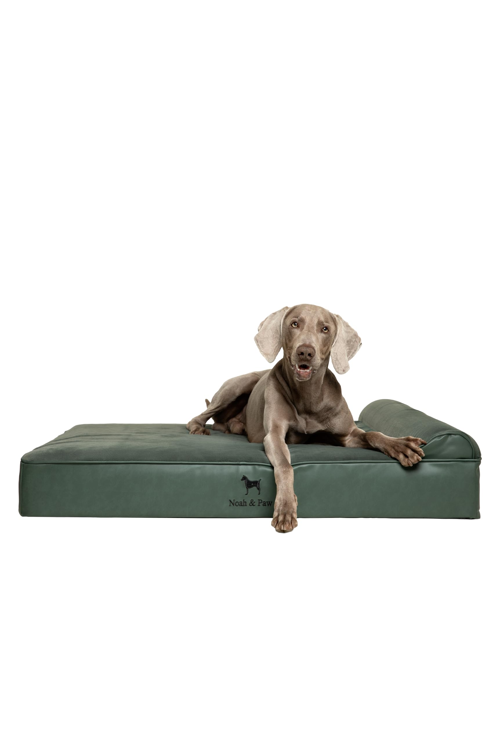NOAH & PAW XL Dog Bed, 45x35x11 Inch, Orthopedic Large Dog Beds, Eggshell Memory Foam Infused with Cooling Gel, Waterproof, Machine Washable, Includes Inner Cover (Faux Leather)