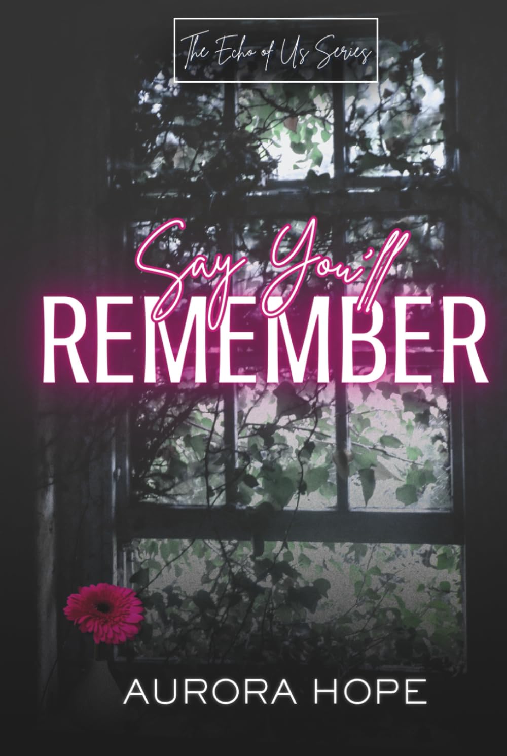 Say You'll Remember: A Contemporary Romance (The Echo of Us Series)