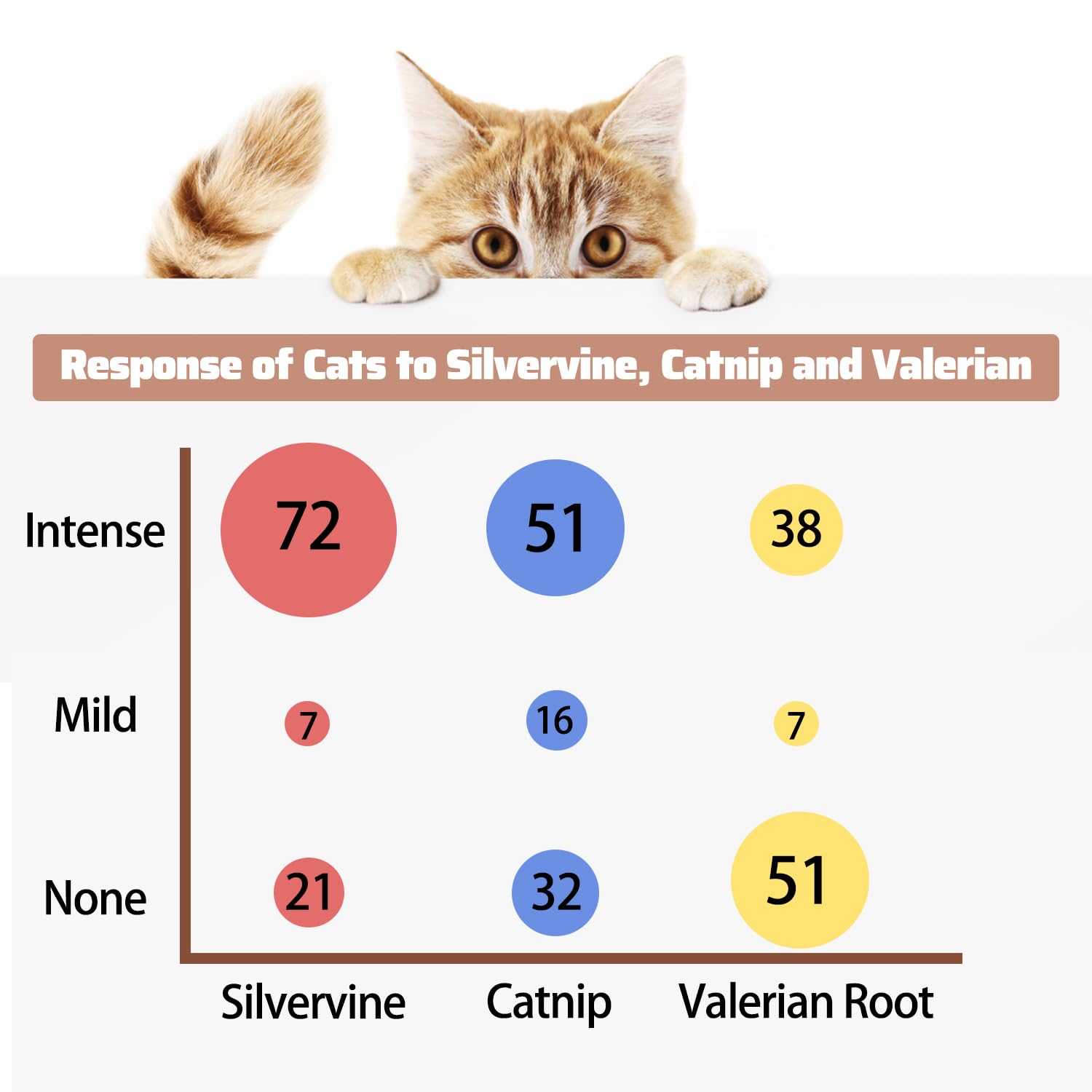 NICERINC PET Silver Vine Powder, Organic Gall Fruit Powder(Matatabi), 100% Natural Catnip Alternative, Refillable Catnip Toys for Cats & Kittens, 50 Grams?1.8 OZ? of Powder