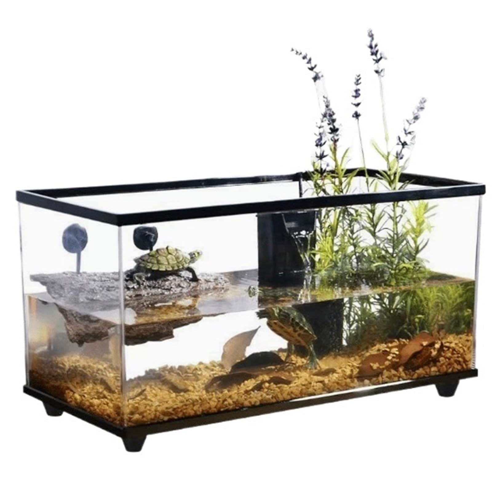 Siedlisko terrarium Domowa skrzynka do karmienia żółwi z separacją na mokro i platformą suszenia słońcu Terrarium akwariowe