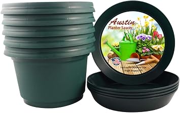 Pot and Saucer, 9in, Hunter Green, Single | Plastic