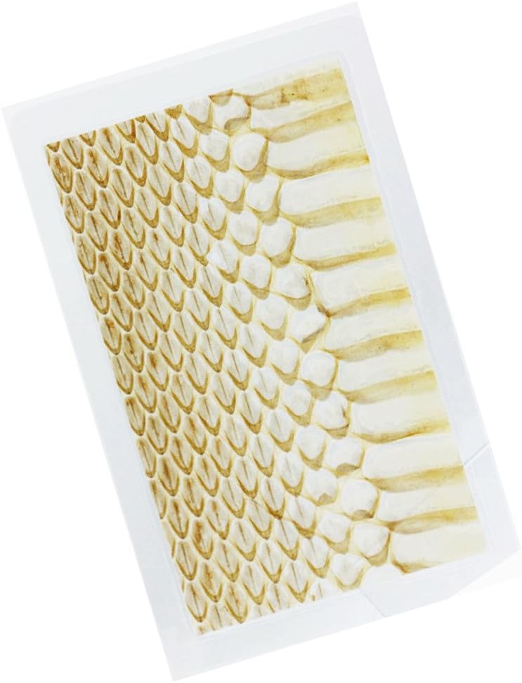 カテゴリー 白蛇の抜け殻 風水 脱け殻 貴重 G3jO6m16534406737