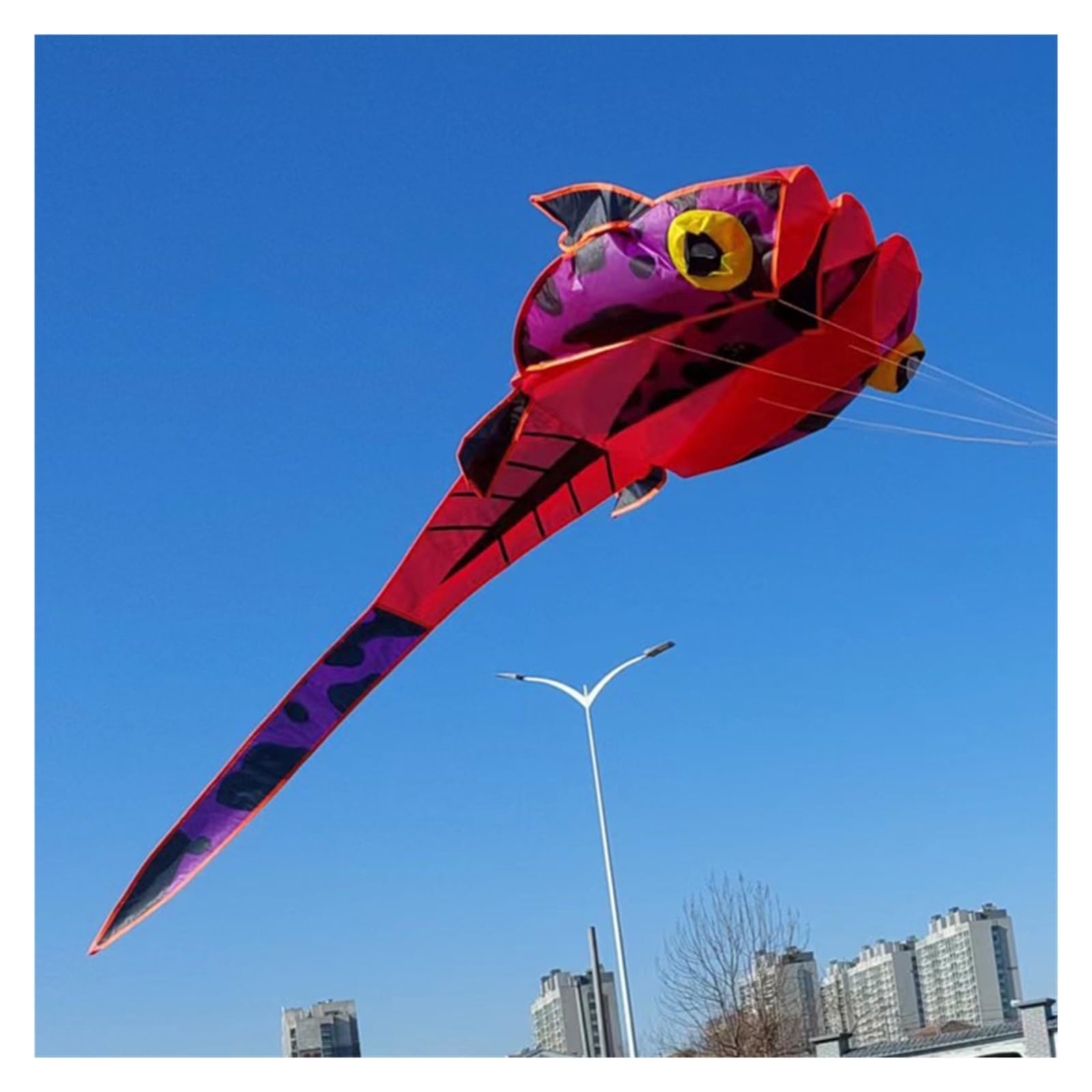Amazon.com: HEXEH 2M 3D Software Tadpole Kite， Boneless Animal