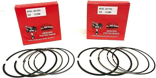 Dos juegos de anillos de pistón 793561, 792026 compatibles con motores Briggs & Stratton OHV 8hpm 10hp 79.25 Bore