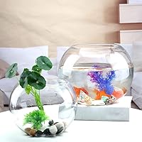 Vista 4 de POPETPOP Cuenco de pescado de vidrio transparente para tanque de escritorio compacto para decoración de oficina en casa para plantas, peces