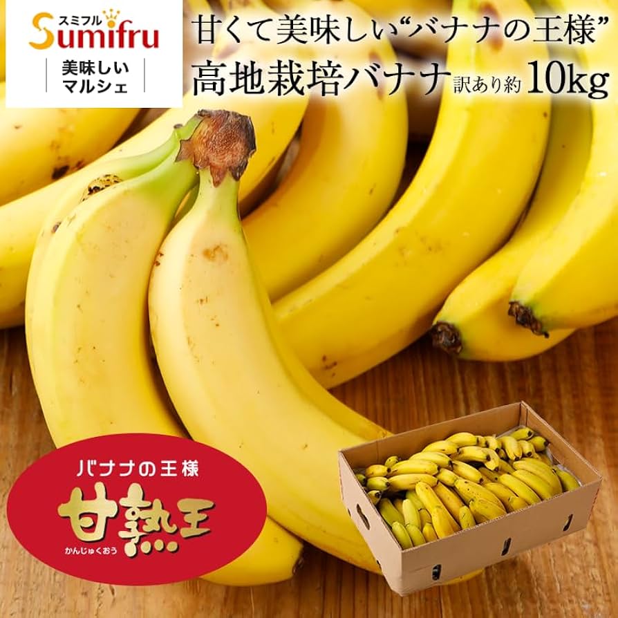 iomari◇絶対糖度の頂点 260cm来年収穫用、 マッサンバナナ