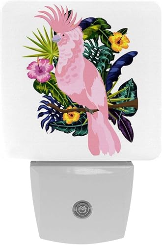 Luz nocturna con enchufe de pájaro tropical, luces nocturnas LED regulables automáticamente, luces nocturnas brillantes para habitación de niños,