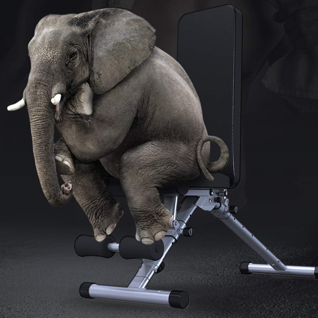 Weight Bench Training Bench Home Gym Exercises Weight Table Folding Dumbbell Bench Multifunctional Fitness Chair Small Bench Pr Bench