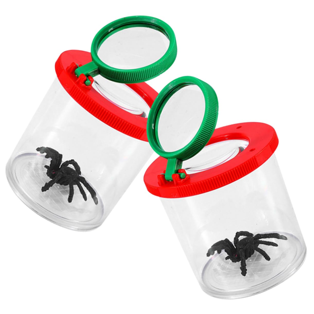Boîte d'observation d'insectes double fonction transparente et grossissante