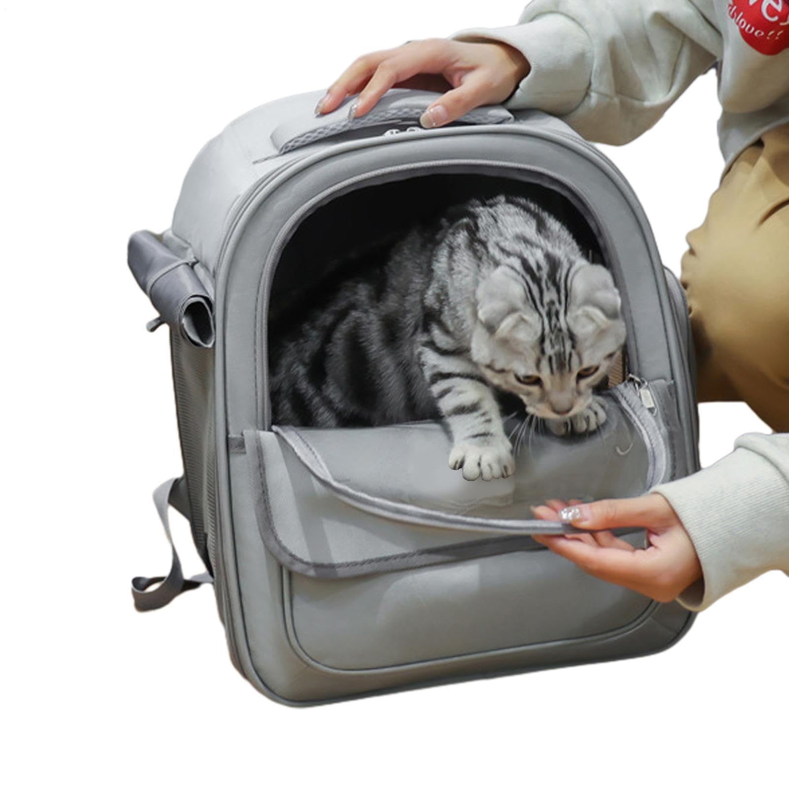 Mochila para Mascotas con Burbujas, Mochila para Gatos Mochila