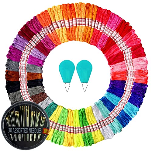 Le Paon 105 Skeins Embroidery Floss - Cross Stitch Threads - Friendship Bracelets Floss - Crafts Floss With 30 Embroidery Needles2 Needle Threaders #TOP12