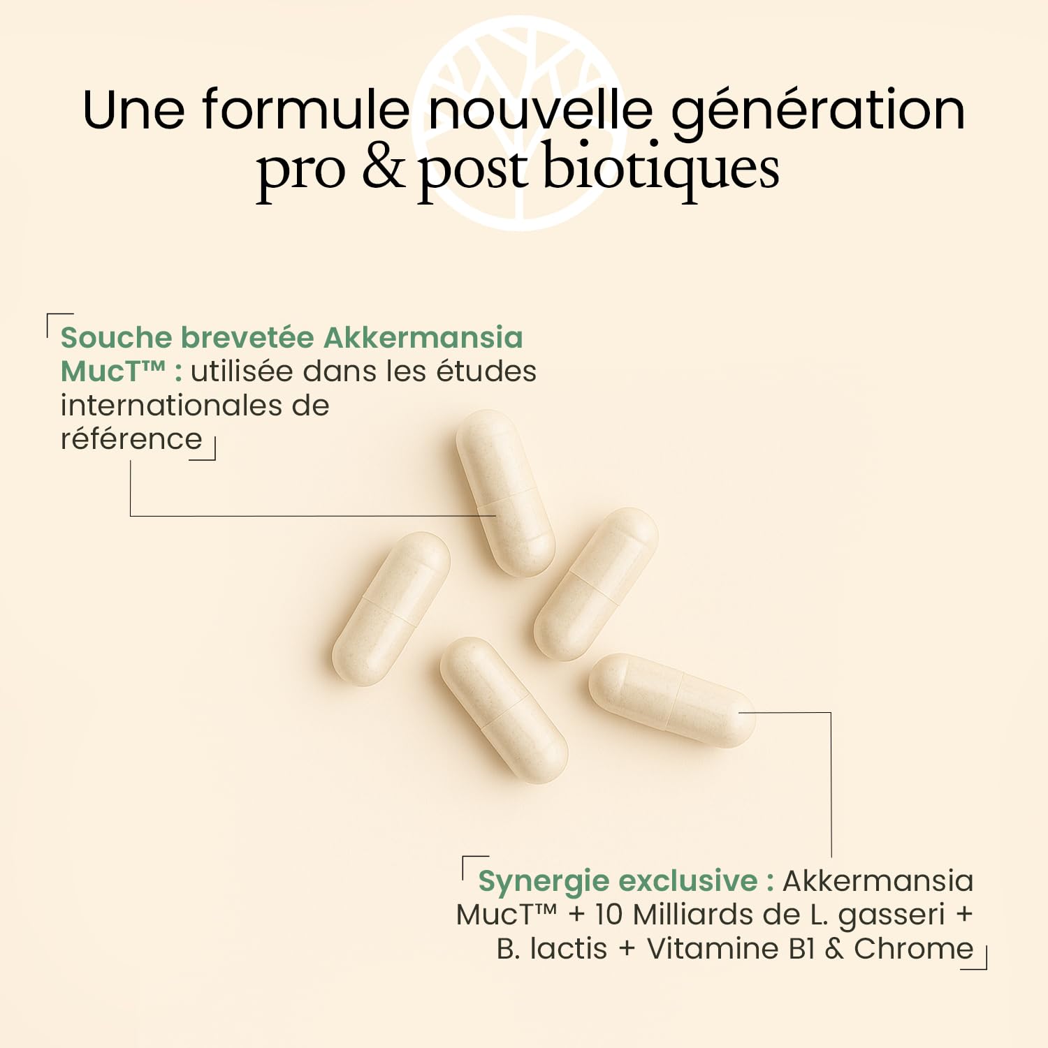Akkermansia MucT® 30 Milliards + L. Gasseri 10 Milliards | Avec Vitamine B1 et Chrome | Régulation Glycémie + Digestion + Satiété | 60 Gélules | Made in France | Terravita