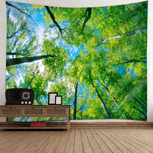 Tapisserie nature paysage xxl 350x256cm en tissu grand format ciel bleu