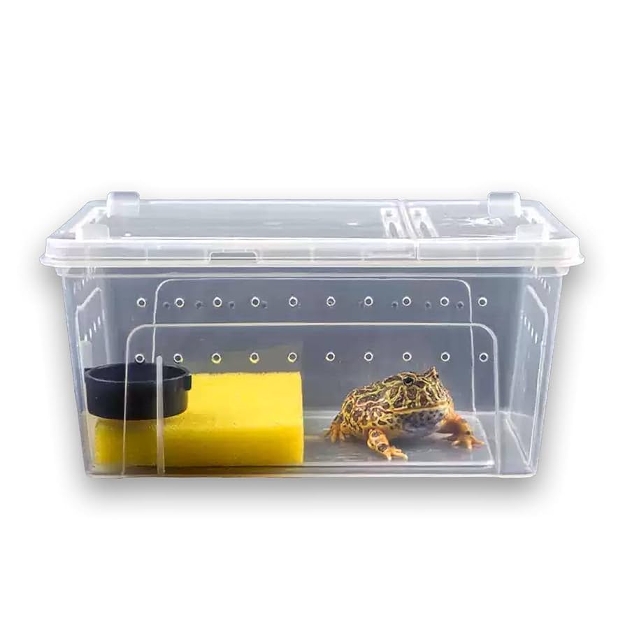Amazon | シンプルチョコ 爬虫類飼育ケース ケージ 透明 蓋付き