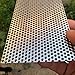 FengYoo Perforated Metal Sheets-Expanded & Perforated Sheets-Perforated Stainless Steel Sheet-20GA 0.12 Inch Hole （About 3mm） 7.8 Inch X3.9 Inch-Metal Mesh Sheet for Ventilation and Fume Filtration