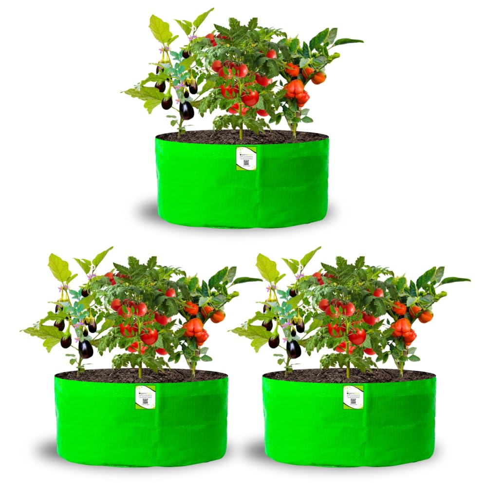 Big Fruit Plant Grow Bags - Organic Bazar (Pack of 2) -19 Big Fruit Plant Grow Bags - Organic Bazar (Pack of 2) -19