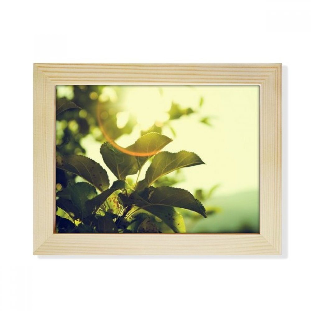 Marco de fotos de madera con imagen de planta para decorar tu escritorio con naturaleza