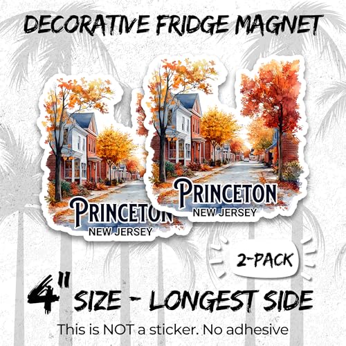 Imanes decorativos vinyl 4 pulgadas pack 2 miniatura 2