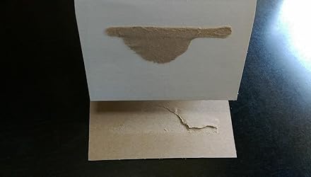 お客様イメージ