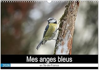 Mes anges bleus en Île-de-France (Calendrier mural 2026 DIN A3 vertical), CALVENDO calendrier mensuel: La mésange bleue dans des postures improbables