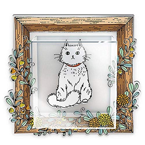 Boîte de rangement murale acrylique et étagère support maison