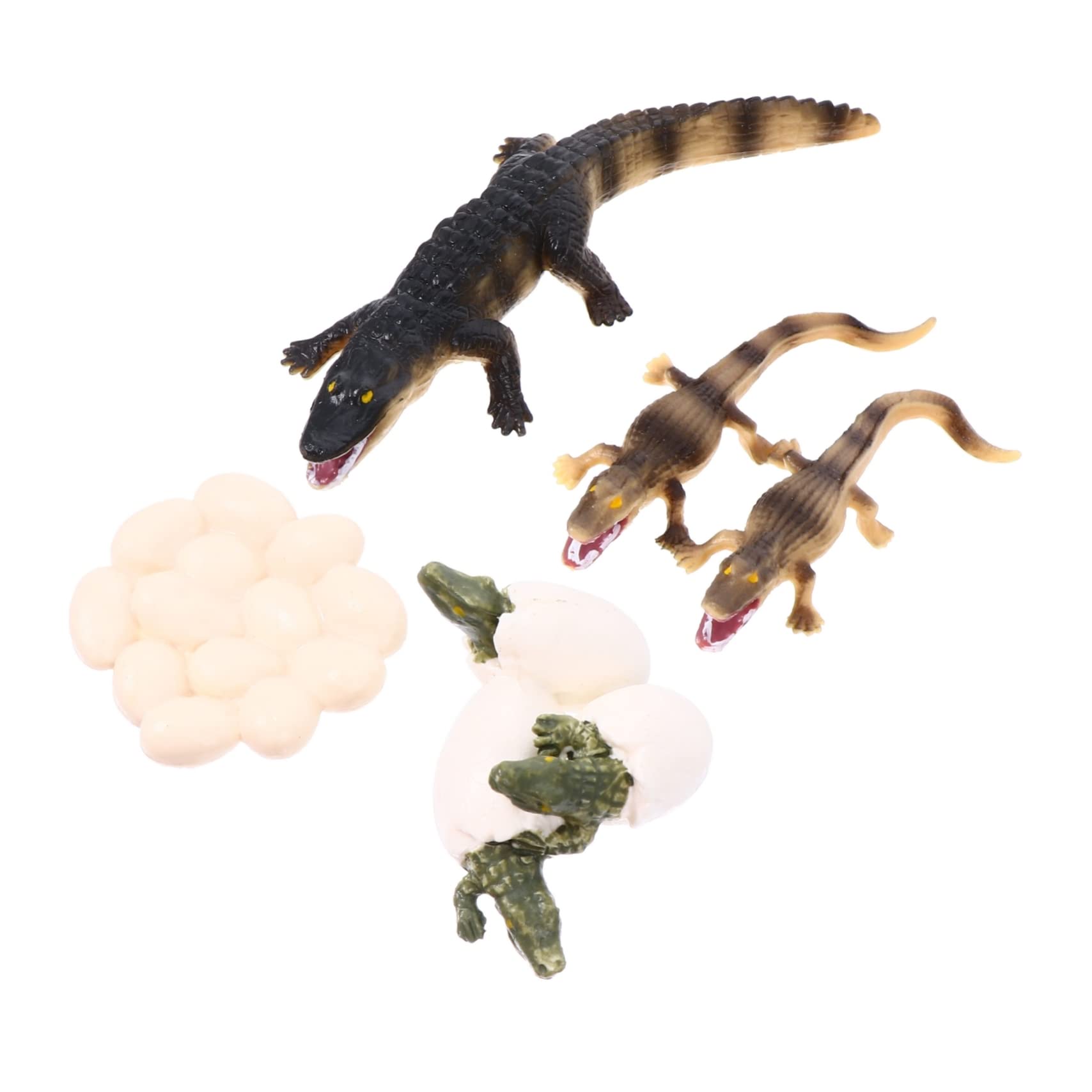 SAFIGLE 1 Set Growth Cycle Toys Figurines for Kids Moss Decor Kids Decor Desert Animals Figures Life Cycle Figurines Terrarium Kit for Kids Artificial Ocean Creature Decor Kids Toy Toolkit