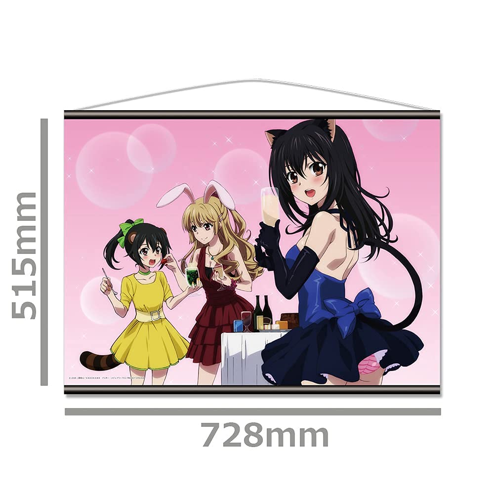Amazon.co.jp: OVA ストライク・ザ・ブラッドlll B2タペストリー