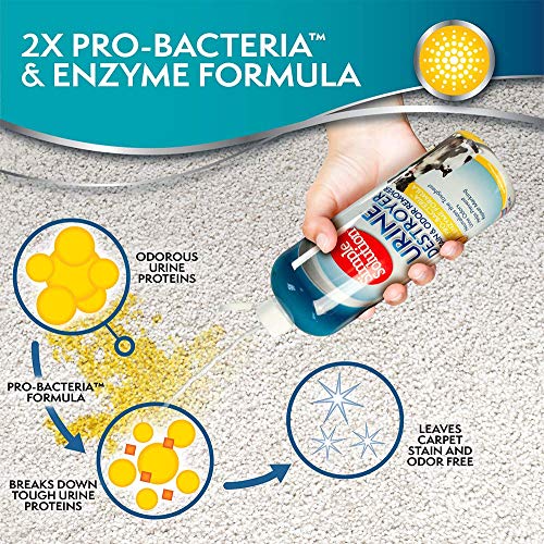 Simple Solution 11362-12P Urine Destroyer Enzymatic Cleaner | Pet Stain And Odor Remover thumb #1